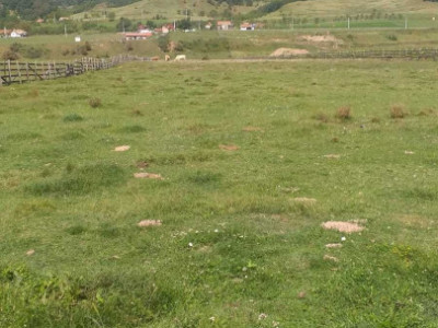 Terenuri de vanzare Parau lui Mihai imagine mica 2