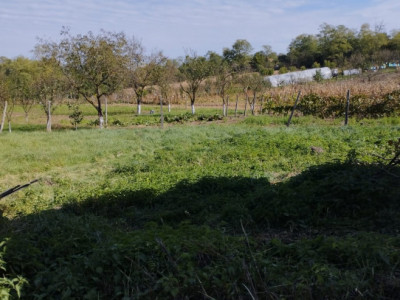 Spatii comerciale de vanzare Ohaba imagine mica 9