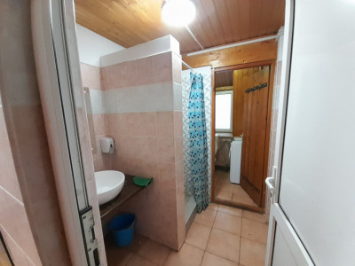 Apartamente de inchiriat Talmaciu Central-- imagine mica 7