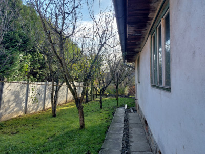 Spatii birouri de inchiriat Cisnadie imagine mica 1