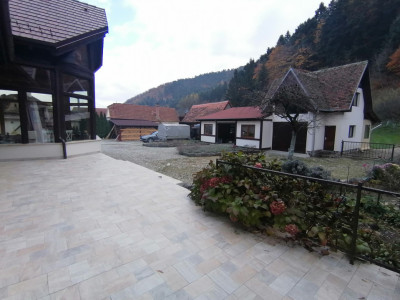 Case de vanzare Gales imagine mica 5