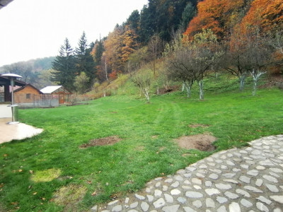 Case de vanzare Gales imagine mica 30