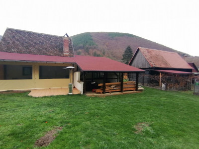 Case de vanzare Gales imagine mica 32