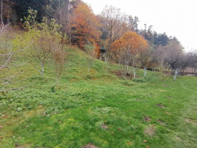 Case de vanzare Gales imagine mica 34