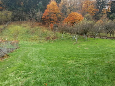 Case de vanzare Gales imagine mica 35