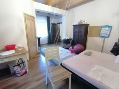 Case de vanzare Gales imagine mica 58