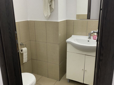 Spatii comerciale de inchiriat Sibiu Doamna Stanca imagine mica 4