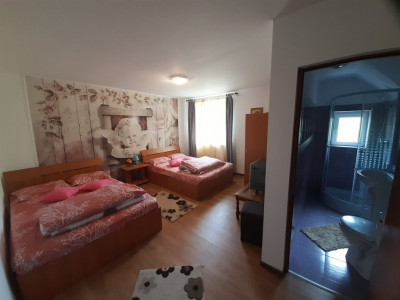 Hoteluri de vanzare Tocile imagine mica 22