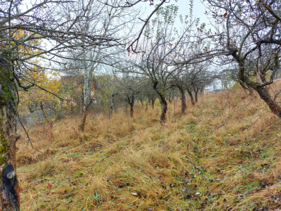 Terenuri de vanzare Cisnadioara imagine mica 2