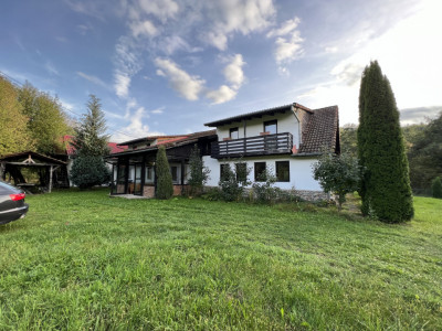 Hoteluri de vanzare Sebes BV imagine mica 1
