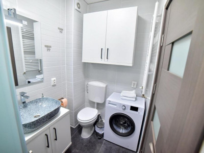 Apartamente de inchiriat Sibiu Lupeni imagine mica 8