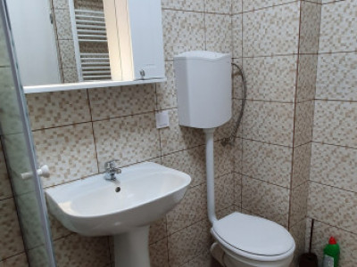 Apartamente de inchiriat Sibiu Lupeni imagine mica 8