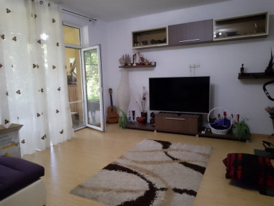 Case de vanzare Alba Iulia Lipoveni imagine mica 2