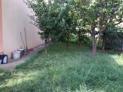 Case de vanzare Alba Iulia Lipoveni imagine mica 12