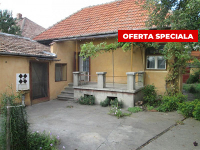 Case de vanzare Sebes imagine mica 1