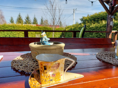 Case de vanzare Tocile imagine mica 8