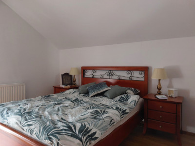 Case de vanzare Tocile imagine mica 13