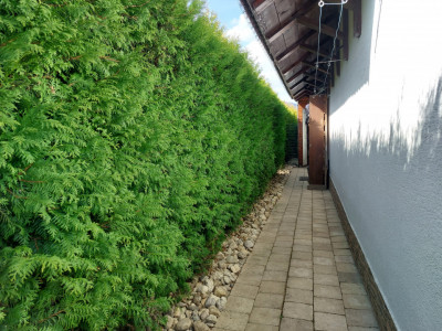 Case de vanzare Tocile imagine mica 34