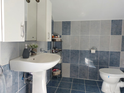 Case de vanzare Tocile imagine mica 38