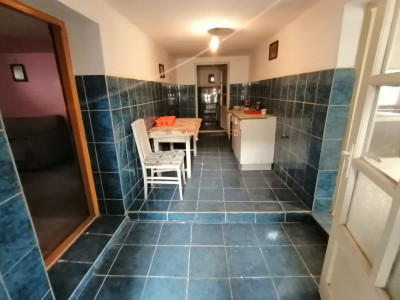 Case de vanzare Sura Mare imagine mica 9