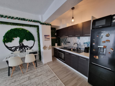Apartamente de inchiriat Sibiu Doamna Stanca imagine mica 1
