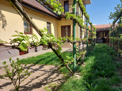 Casa de vanzare pretabila pensiune sedii birouri Calea Poplacii Sibiu