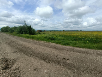 Teren de vanzare in zona Parcului Industrial Sura Mica cu acces camion