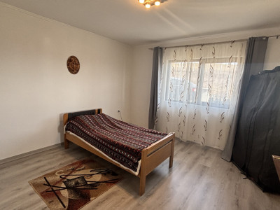 Case de vanzare Sura Mare imagine mica 8