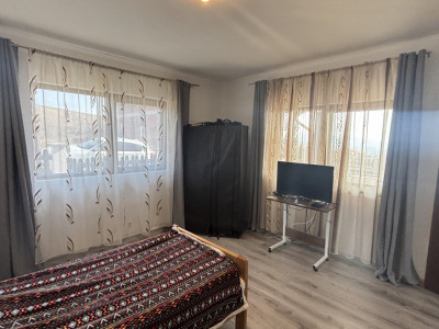 Case de vanzare Sura Mare imagine mica 9