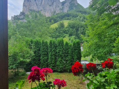 Case de vanzare Ramet imagine mica 1