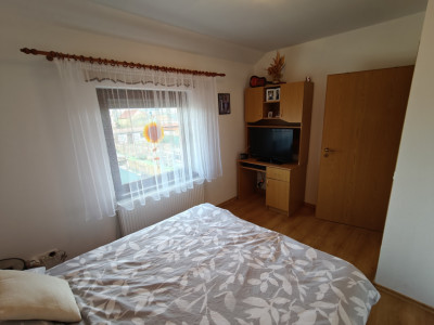 Case de vanzare Sibiu Terezian imagine mica 21