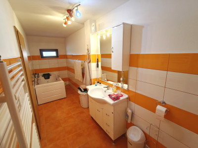 Case de vanzare Sibiu Terezian imagine mica 8