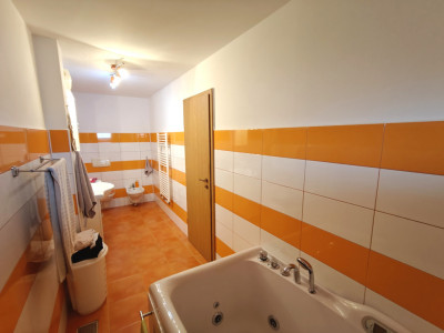 Case de vanzare Sibiu Terezian imagine mica 9