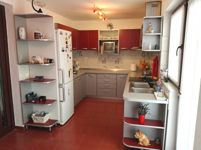 Case de vanzare Sibiu Terezian imagine mica 14