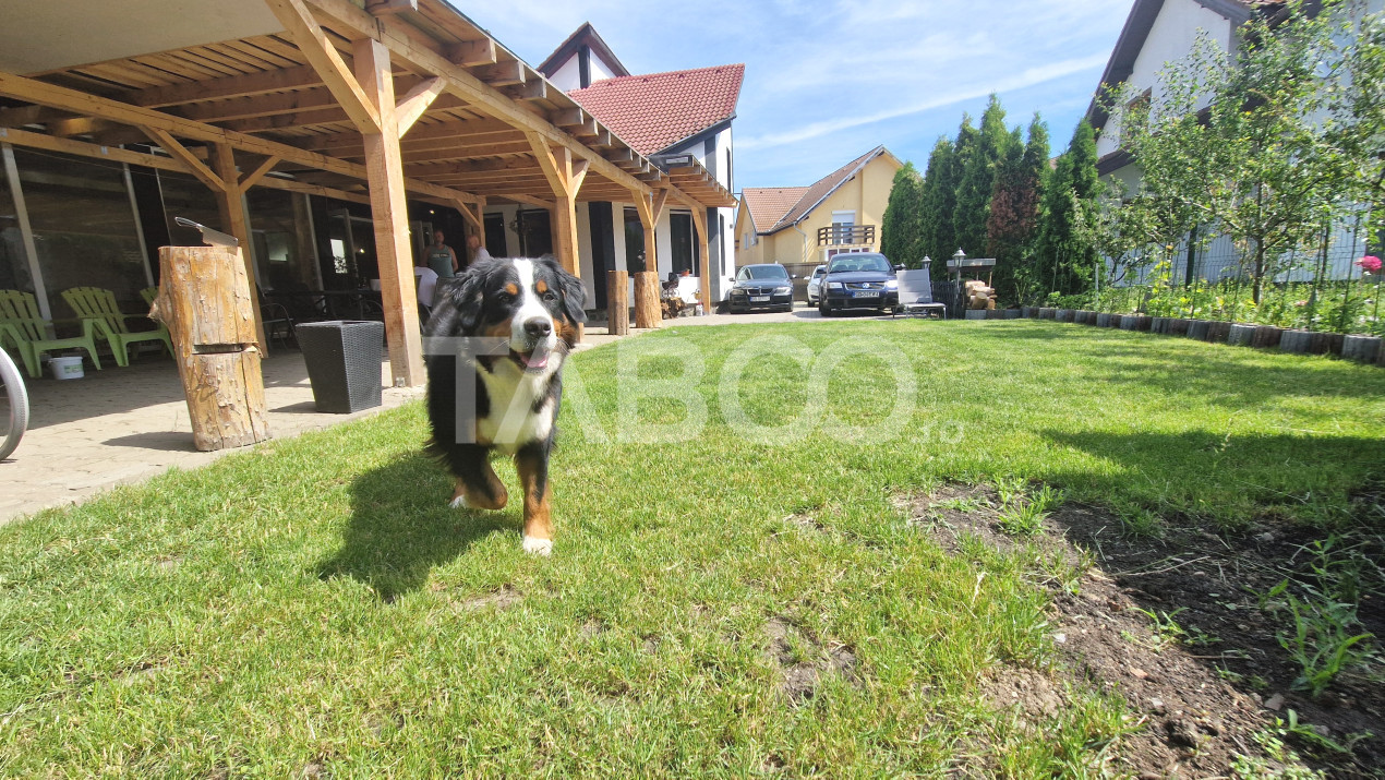 Case de vanzare Sibiu Selimbar 2