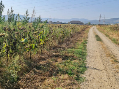 Terenuri de vanzare Sebes imagine mica 2