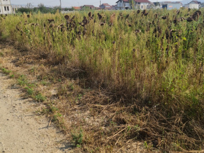 Terenuri de vanzare Sebes imagine mica 3