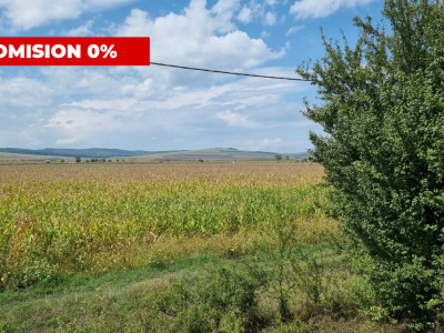 Oportunitate investitie comision 0% 28000 mp in Sura Mica Sibiu