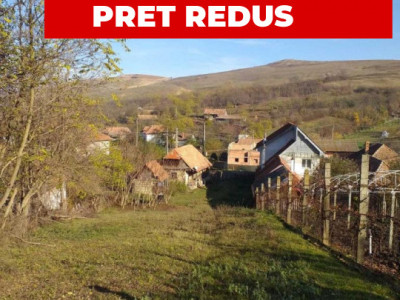 Terenuri de vanzare Dumitra imagine mica 1