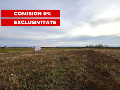 Teren intravilan de vanzare suprafata utila de 3000 mp comision 0%