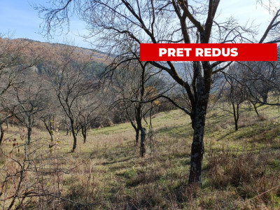 Teren extravilan pretabil cabana 1300 mp utilitati Inuri Vintu de Jos