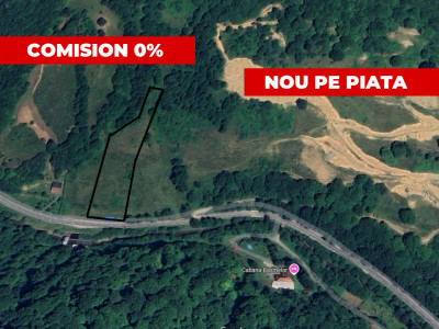 Teren intravilan de vanzare 6471 mp Valea Sadului