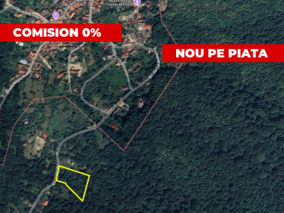 Teren intravilan de vanzare 4297 mp Fantanele Sibiu
