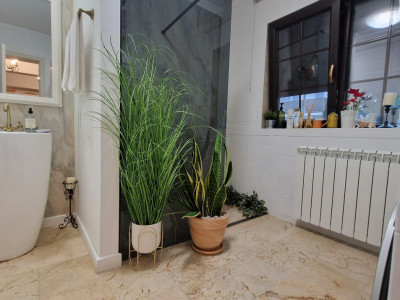 Case de vanzare Sibiu Selimbar imagine mica 15