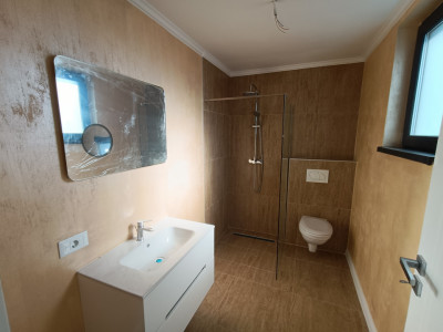 Case de vanzare Alba Iulia Cetate imagine mica 7