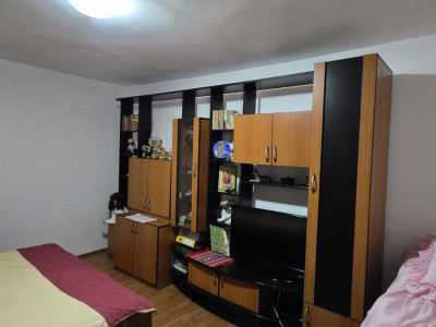 Case de vanzare Brasov Grivitei imagine mica 12