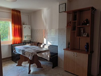 Apartamente de vanzare Brasov Racadau imagine mica 2