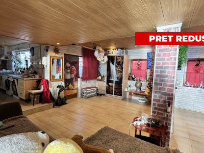 Casa individuala de vanzare 4 camere 184 mp utili zona Mihai Viteazul