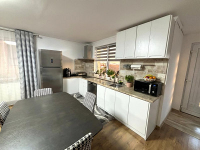 Case de vanzare Sura Mare imagine mica 4