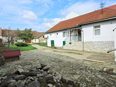 Case de vanzare Calnic imagine mica 7